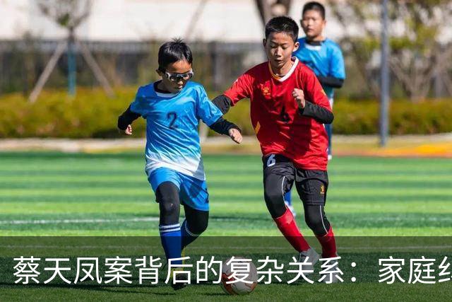 蔡天凤案背后的复杂关系：家庭纠葛与法律悬疑